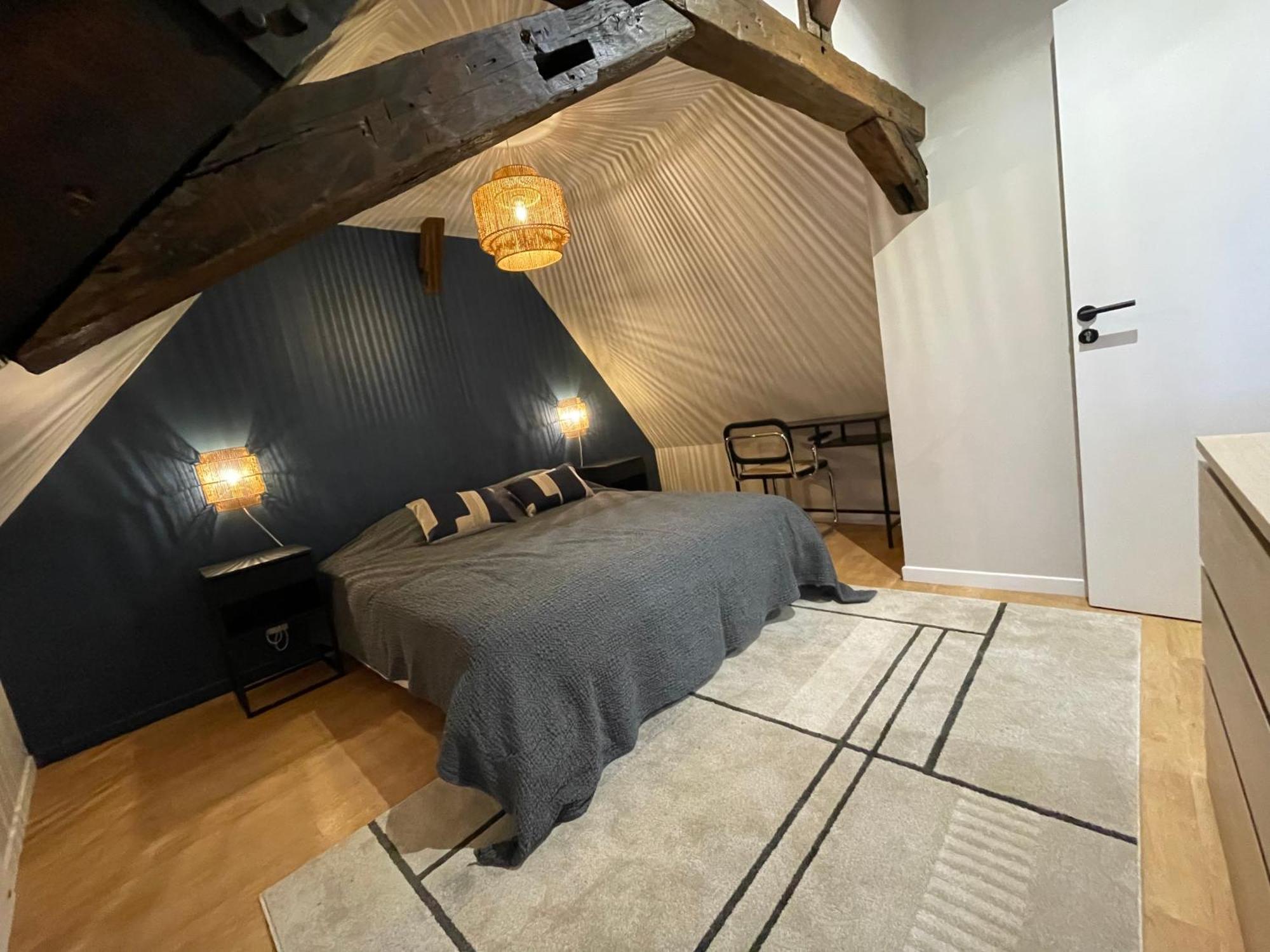 Le Petit Chateau Du Docteur Cambournac Bourges Eksteriør billede